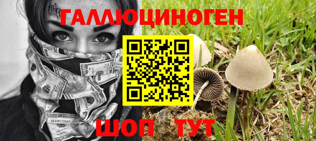 Кушва  Галлюциногенные грибы Cubensis  Вход с VPN 